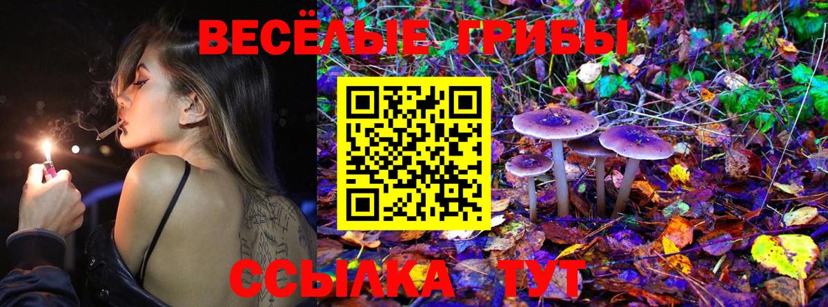 Галлюциногенные грибы мухоморы Ижевск