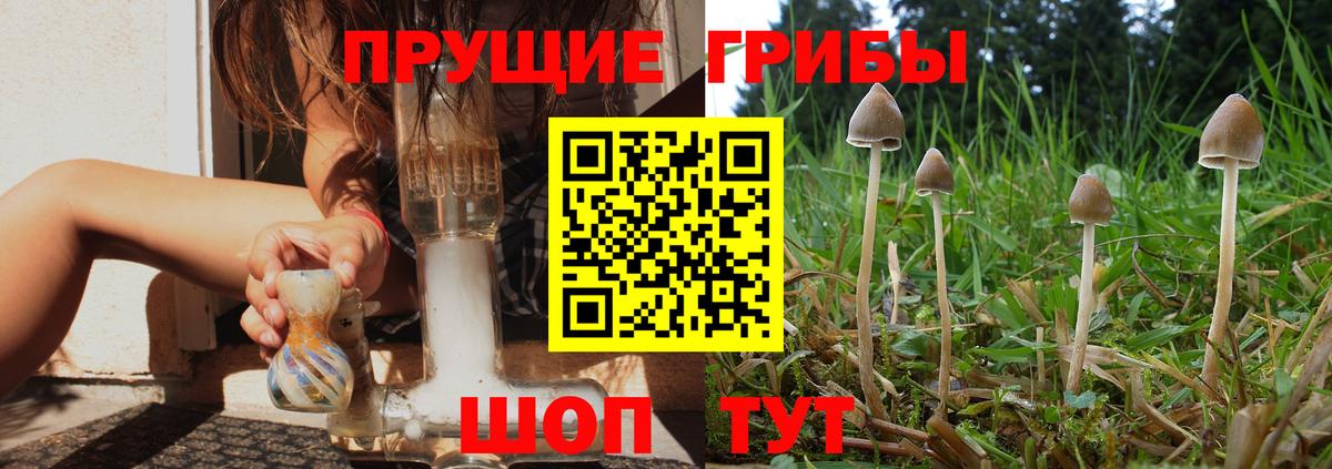 Псилоцибиновые грибы Magic Shrooms  Вход с VPN  Ижевск 